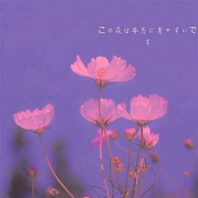 摩托车冬季之旅